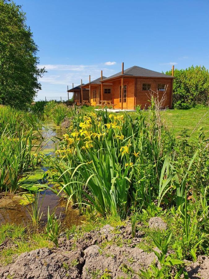 Camping De Oude Rijn Ter Aar エクステリア 写真