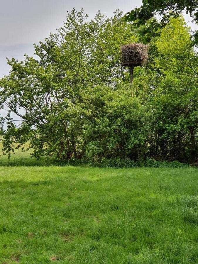 Camping De Oude Rijn Ter Aar エクステリア 写真