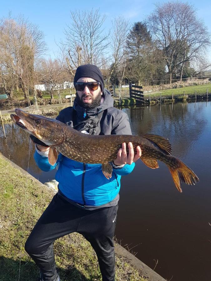 Camping De Oude Rijn Ter Aar エクステリア 写真